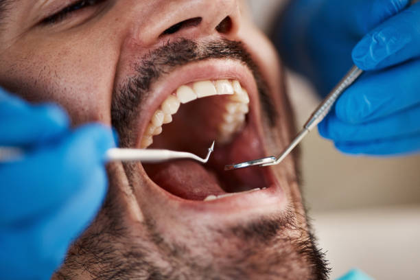 Best Pediatric Emergency Dentist in Elm Springs, AR